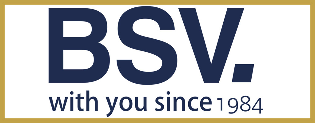 Logotipo de BSV Electronic